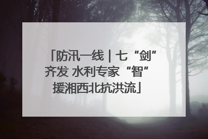 防汛一线｜七“剑”齐发 水利专家“智”援湘西北抗洪流