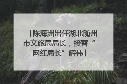 陈海洲出任湖北随州市文旅局局长，接替“网红局长”解伟