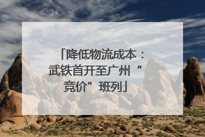 降低物流成本：武铁首开至广州“竞价”班列