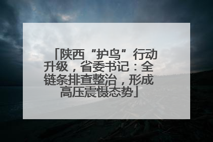 陕西“护鸟”行动升级，省委书记：全链条排查整治，形成高压震慑态势