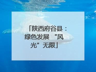 陕西府谷县：绿色发展 “风光”无限