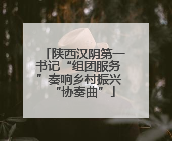 陕西汉阴第一书记“组团服务”奏响乡村振兴“协奏曲”