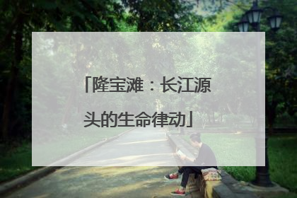 隆宝滩：长江源头的生命律动