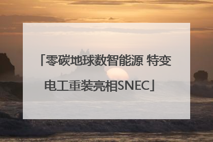 零碳地球数智能源 特变电工重装亮相SNEC
