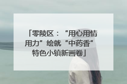 零陵区：“用心用情用力”绘就“中药香”特色小镇新画卷