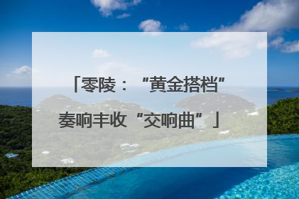零陵：“黄金搭档”奏响丰收“交响曲”