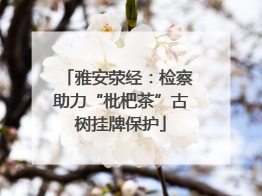 雅安荥经：检察助力“枇杷茶”古树挂牌保护