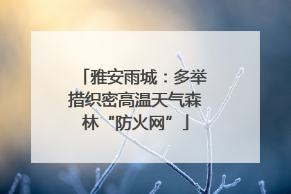 雅安雨城：多举措织密高温天气森林“防火网”
