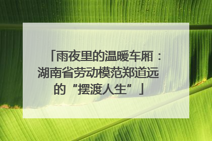 雨夜里的温暖车厢：湖南省劳动模范郑道远的“摆渡人生”