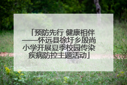 预防先行 健康相伴——怀远县徐圩乡殷尚小学开展夏季校园传染疾病防控主题活动