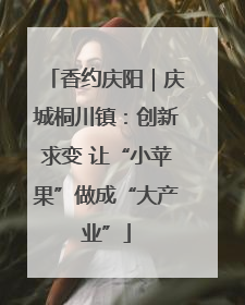 香约庆阳｜庆城桐川镇：创新求变 让“小苹果”做成“大产业”