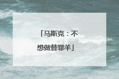 马斯克：不想做替罪羊