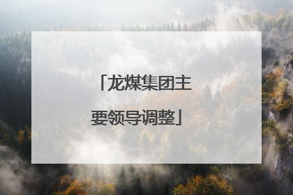 龙煤集团主要领导调整