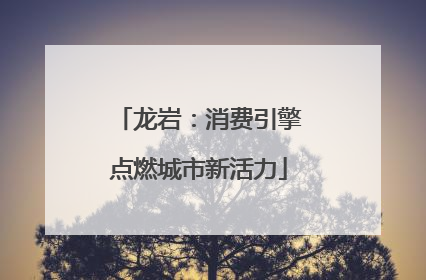 龙岩：消费引擎点燃城市新活力