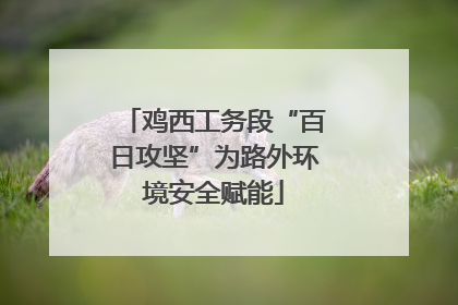 鸡西工务段“百日攻坚”为路外环境安全赋能