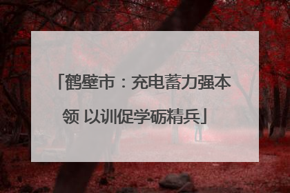 鹤壁市：充电蓄力强本领 以训促学砺精兵