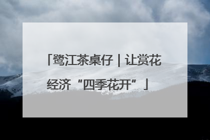 鹭江茶桌仔｜让赏花经济“四季花开”