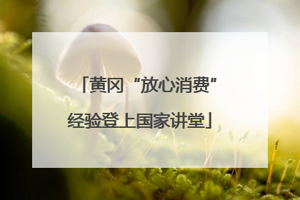 黄冈“放心消费”经验登上国家讲堂