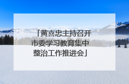 黄喜忠主持召开市委学习教育集中整治工作推进会