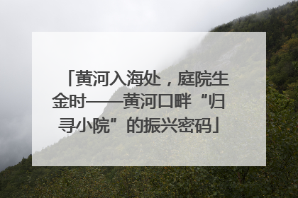 黄河入海处，庭院生金时——黄河口畔“归寻小院”的振兴密码