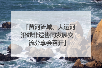 黄河流域、大运河沿线非遗协同发展交流分享会召开