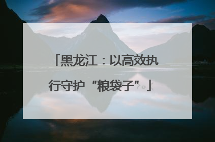 黑龙江：以高效执行守护“粮袋子”
