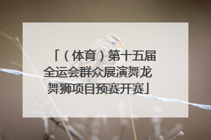 （体育）第十五届全运会群众展演舞龙舞狮项目预赛开赛
