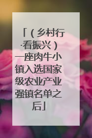 （乡村行·看振兴）一座肉牛小镇入选国家级农业产业强镇名单之后