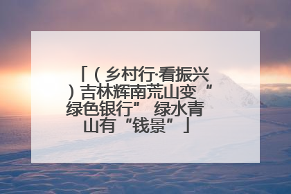 （乡村行·看振兴）吉林辉南荒山变“绿色银行” 绿水青山有“钱景”
