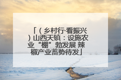 （乡村行·看振兴）山西天镇：设施农业“棚”勃发展 辣椒产业蓄势待发