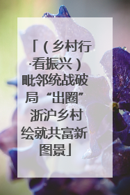 （乡村行·看振兴）毗邻统战破局“出圈” 浙沪乡村绘就共富新图景