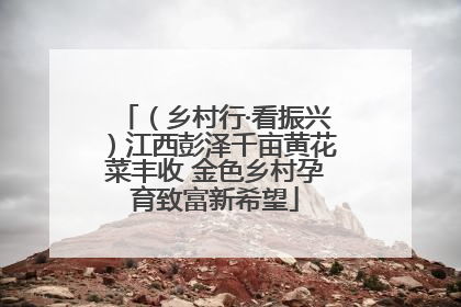 （乡村行·看振兴）江西彭泽千亩黄花菜丰收 金色乡村孕育致富新希望