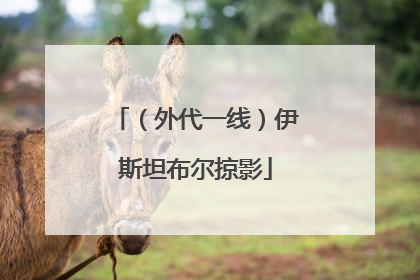 （外代一线）伊斯坦布尔掠影