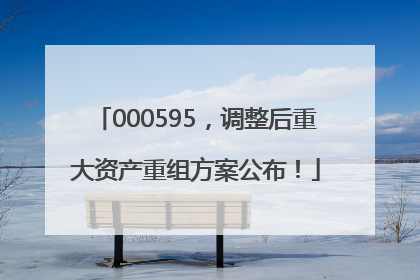 000595，调整后重大资产重组方案公布！