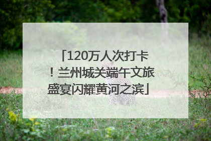 120万人次打卡！兰州城关端午文旅盛宴闪耀黄河之滨