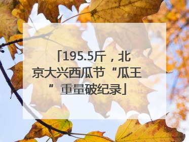 195.5斤，北京大兴西瓜节“瓜王”重量破纪录
