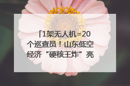 1架无人机=20个巡查员！山东低空经济“硬核王炸”亮相青岛，下一个万亿赛道藏在这里