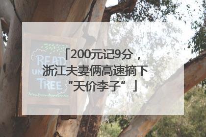200元记9分，浙江夫妻俩高速摘下“天价李子”