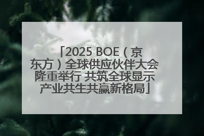 2025 BOE（京东方）全球供应伙伴大会隆重举行 共筑全球显示产业共生共赢新格局