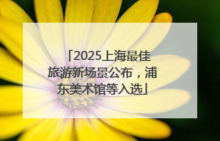 2025上海最佳旅游新场景公布，浦东美术馆等入选