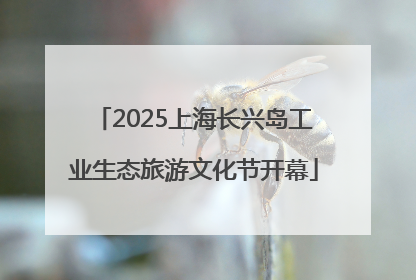 2025上海长兴岛工业生态旅游文化节开幕