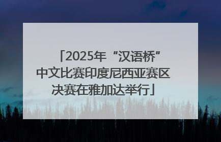 2025年“汉语桥”中文比赛印度尼西亚赛区决赛在雅加达举行