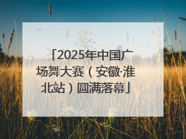 2025年中国广场舞大赛（安徽·淮北站）圆满落幕