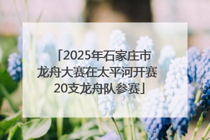 2025年石家庄市龙舟大赛在太平河开赛 20支龙舟队参赛