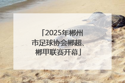 2025年郴州市足球协会郴超、郴甲联赛开幕