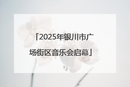 2025年银川市广场街区音乐会启幕