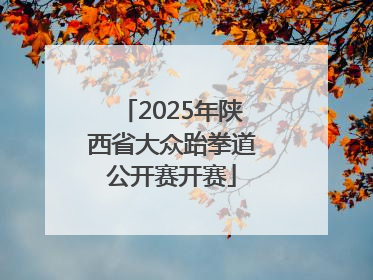 2025年陕西省大众跆拳道公开赛开赛