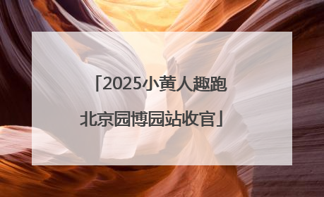 2025小黄人趣跑北京园博园站收官