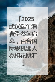 2025武汉端午消费季蔡甸启幕，百台国际级机器人亮相花博汇