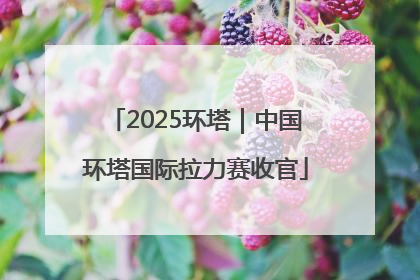 2025环塔｜中国环塔国际拉力赛收官